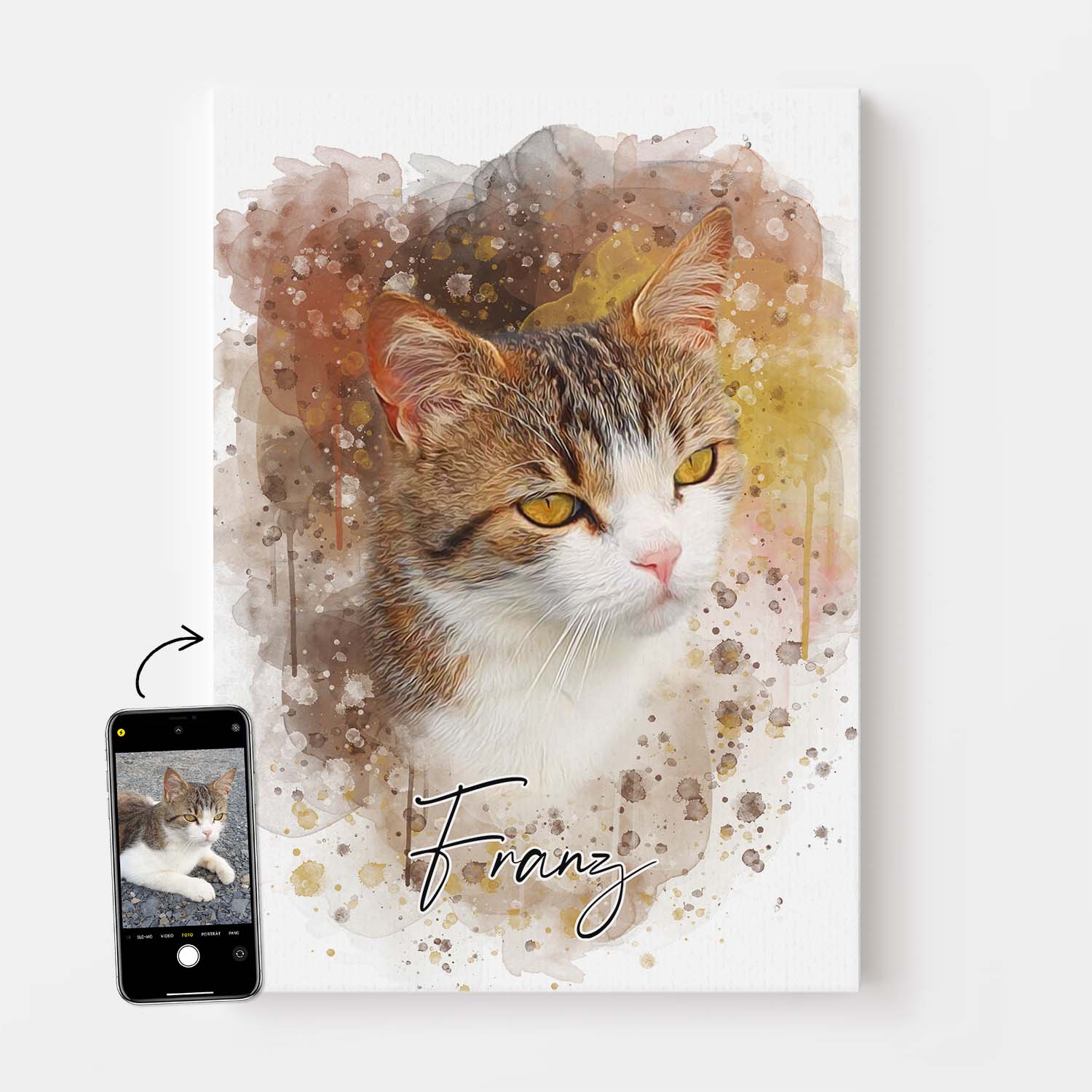Katze als Portrait